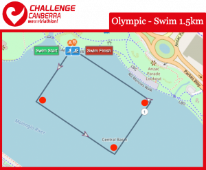 Olympic Swim 1.5km